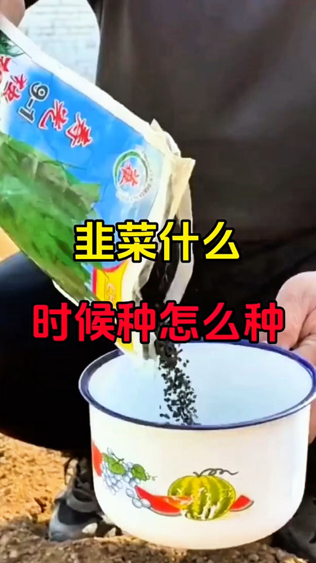 韭菜什么时候种植?怎么种植?你会吗?