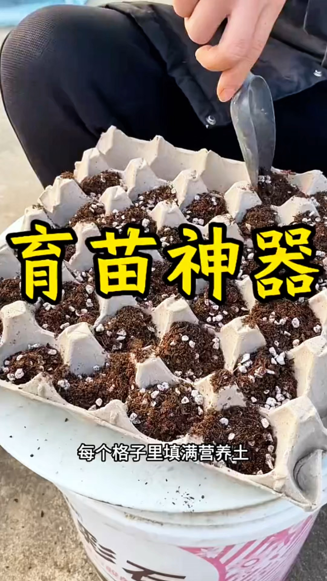 不要的鸡蛋托盘，也能成为育苗神器！