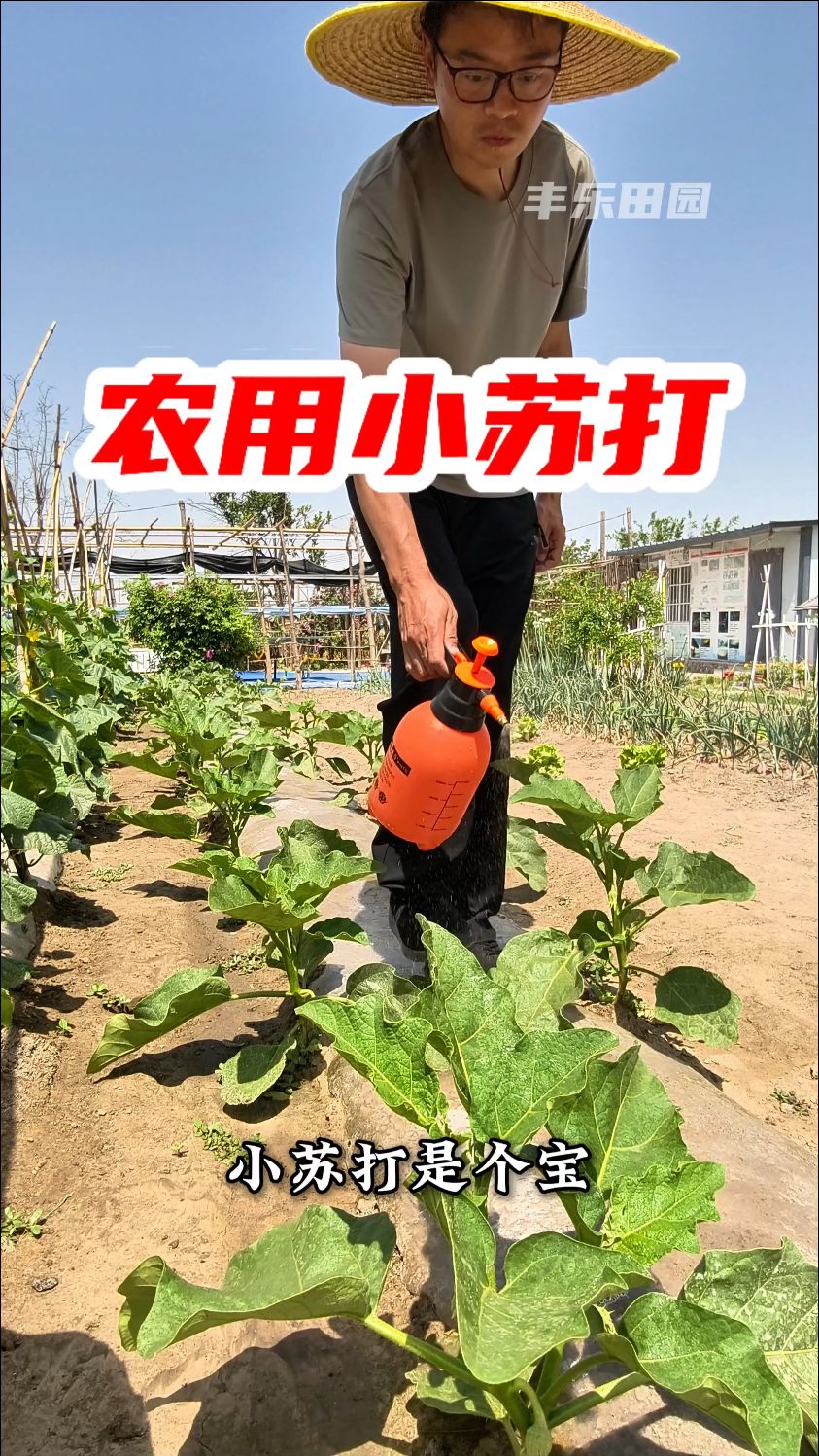 小苏打是个宝,瓜果蔬菜离不了