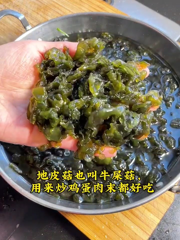 山间黑珍珠竟成下饭神器!