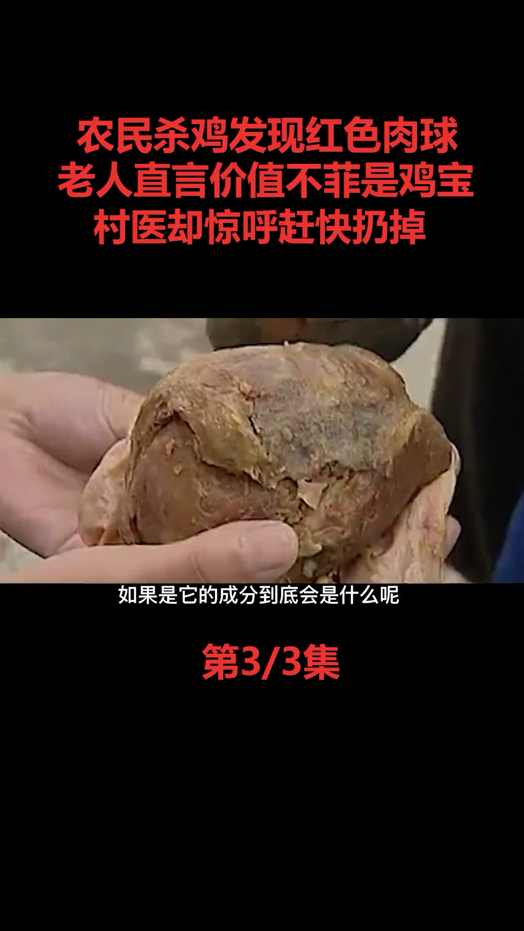 农民杀鸡发现红色肉球,老人说是鸡灵宝价值百万