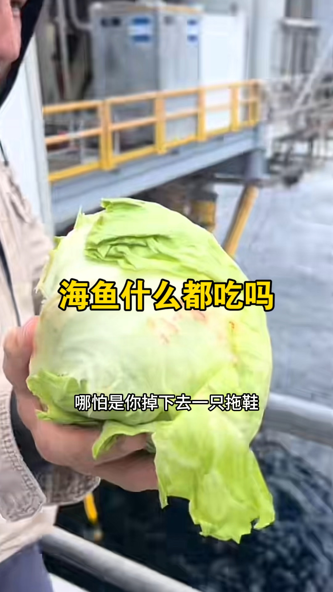 海鱼真的什么都吃吗