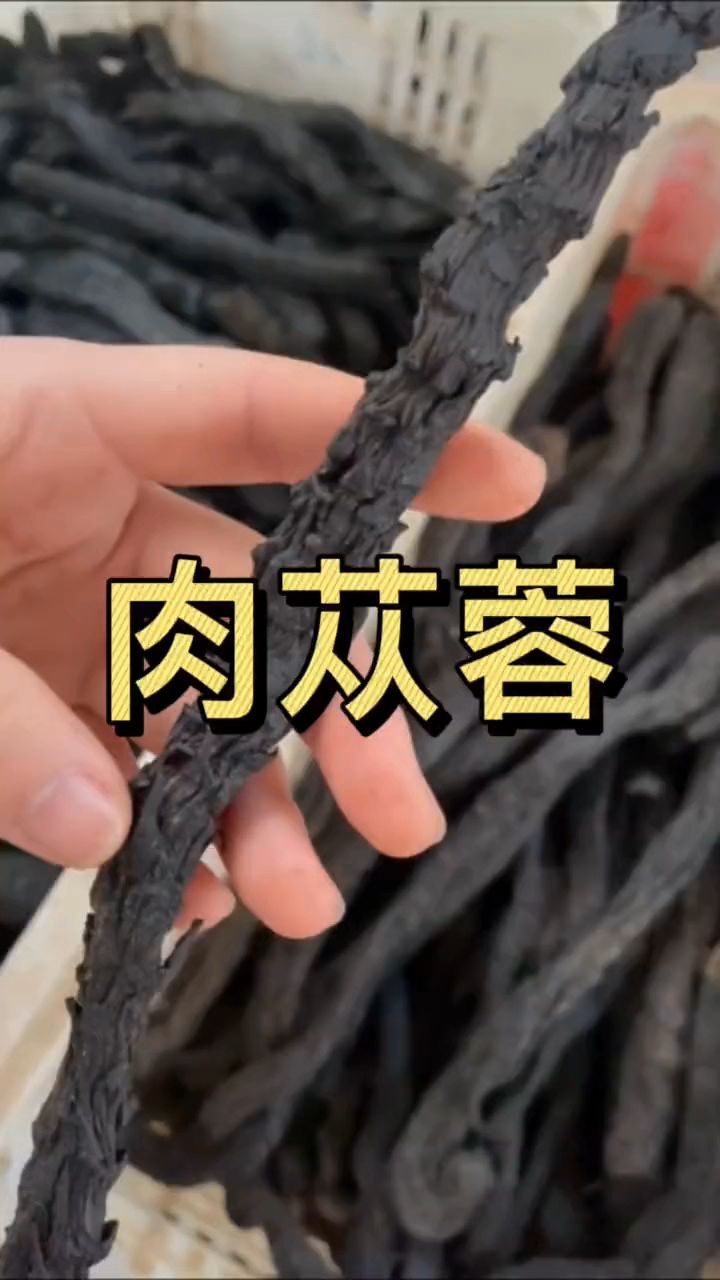 今天给大家介绍肉苁蓉,男士们可以用它泡水喝