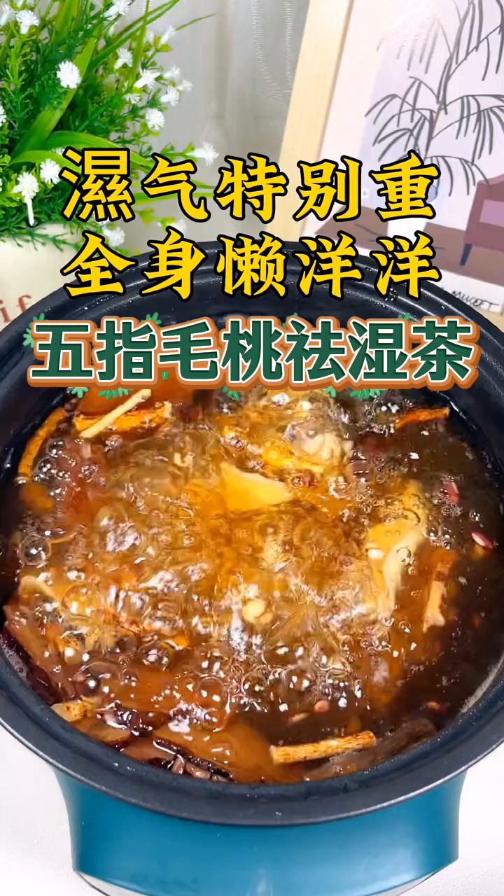 身体湿气是百病之源,用五指毛桃和土茯苓一起煮水喝