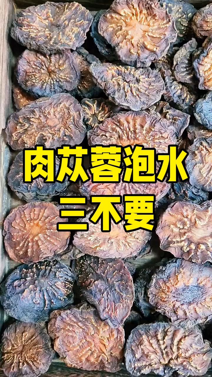 肉苁蓉泡水的注意事项,你记住了吗