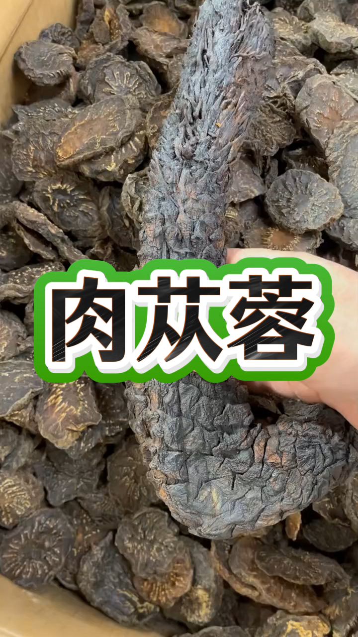 这就是男同胞们喜欢的肉苁蓉
