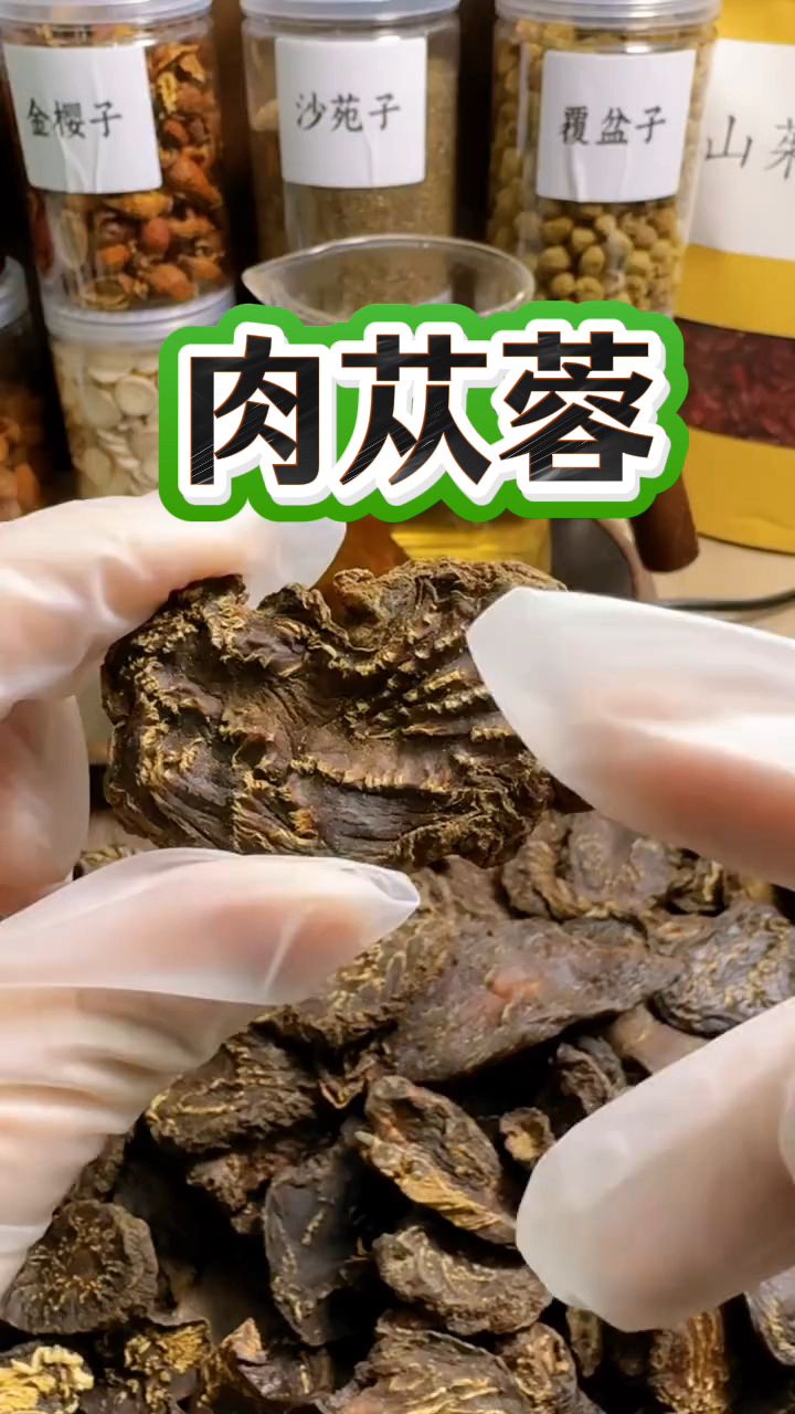 肉苁蓉泡水代茶饮,现在非常火哦