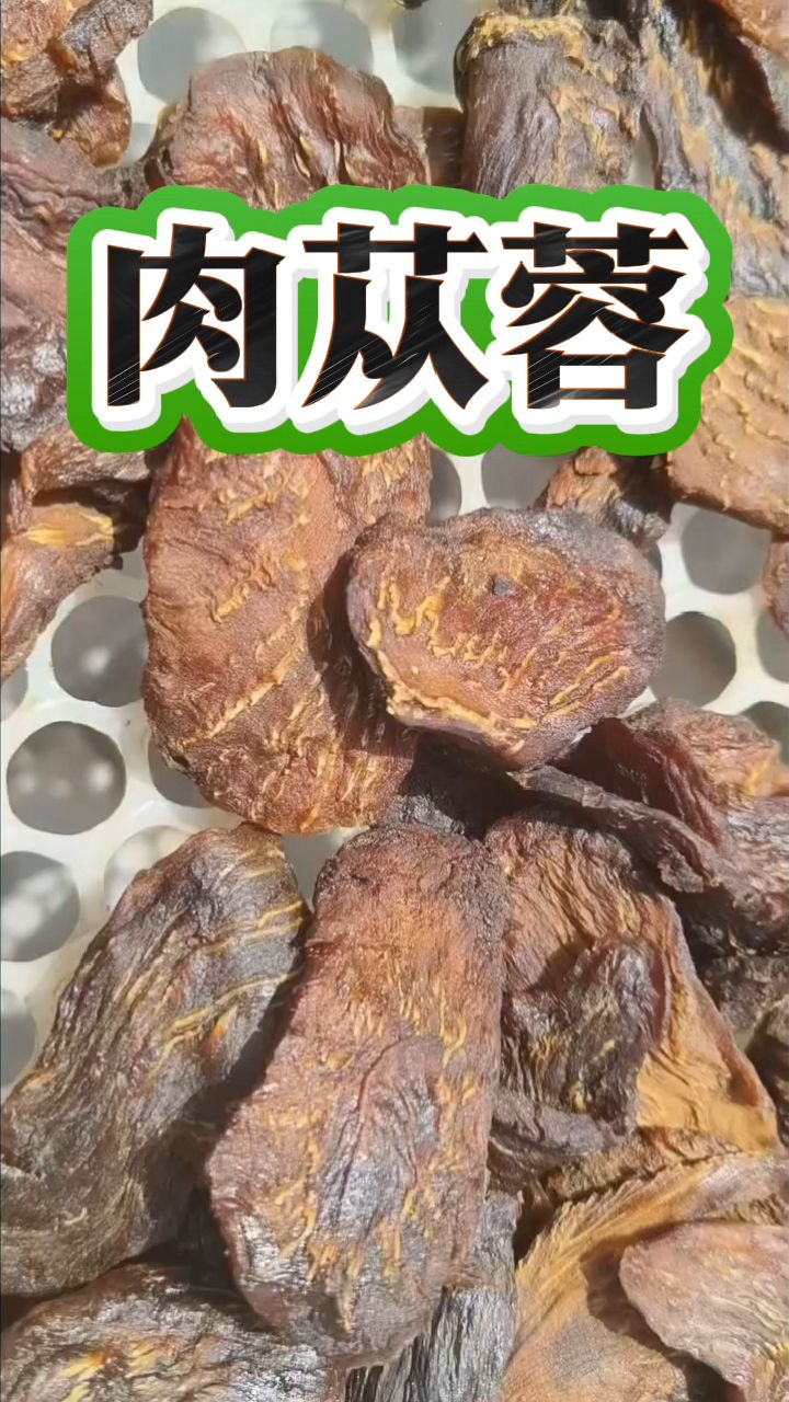 肉苁蓉泡水喝的第十五天