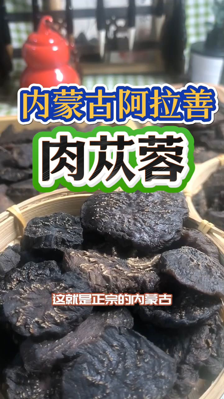 内蒙古阿拉善大沙漠里的肉苁蓉，男士们常常拿来泡水喝！