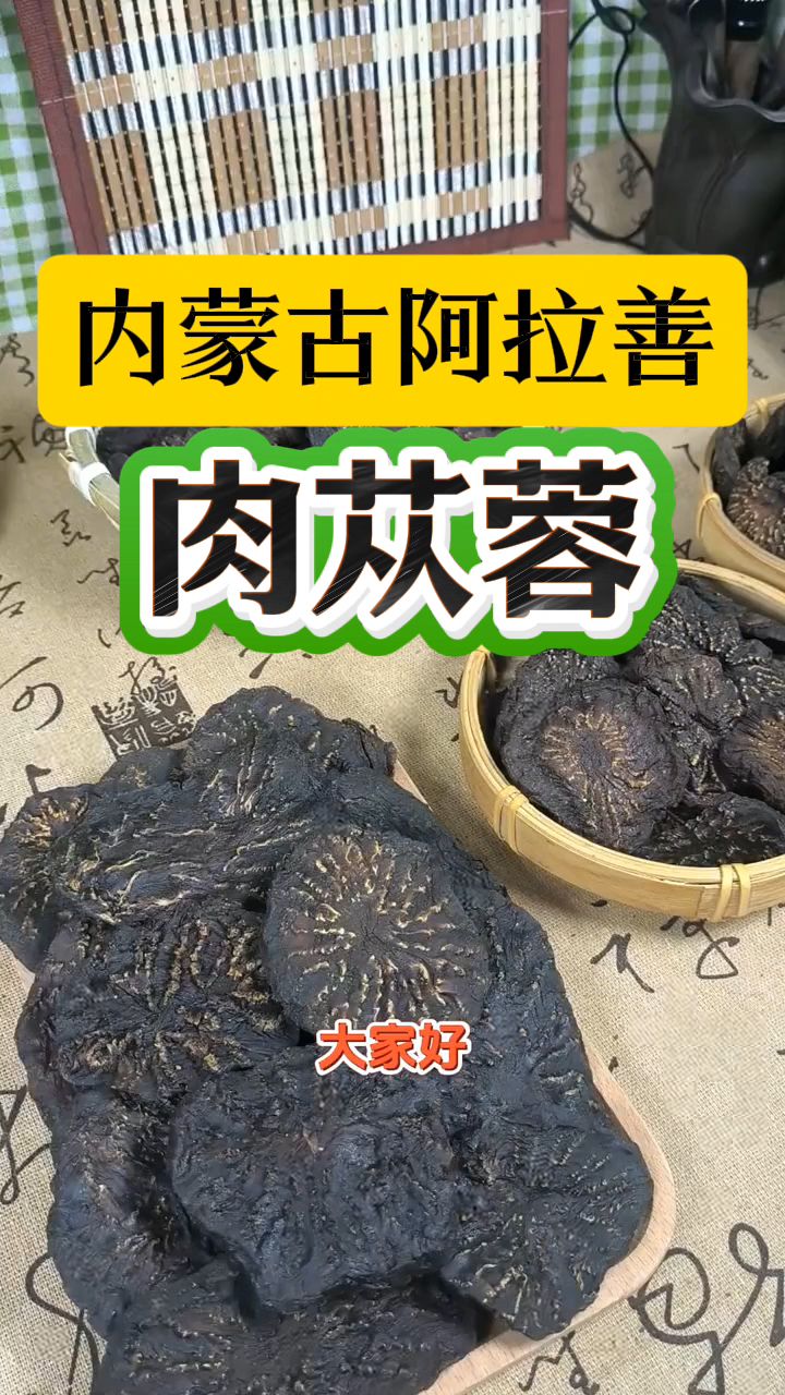 为什么选肉苁蓉，要选内蒙古阿拉善地区的？
