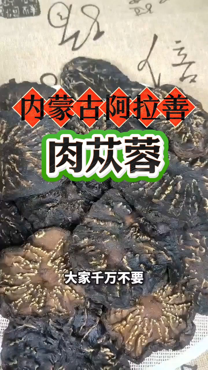 内蒙古阿拉善的肉苁蓉泡水喝,男同胞们很喜欢