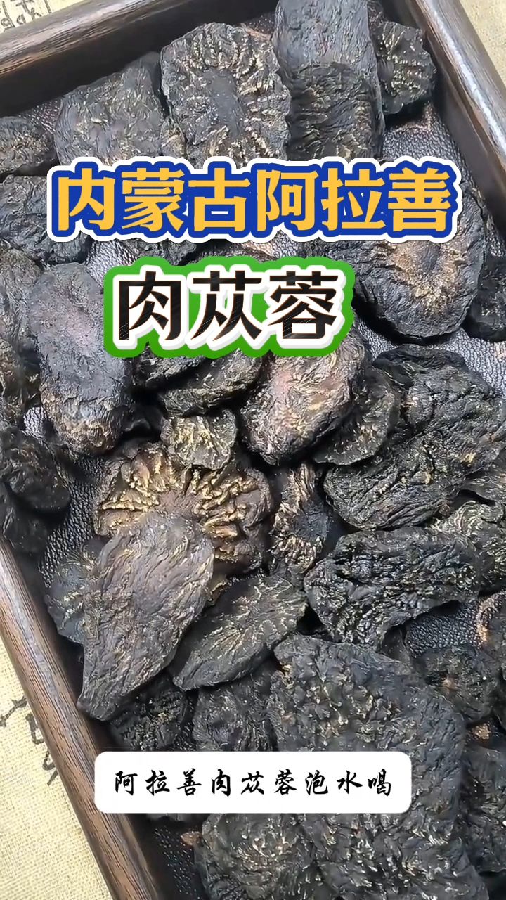 内蒙古阿拉善肉苁蓉,早晚一杯泡水喝!