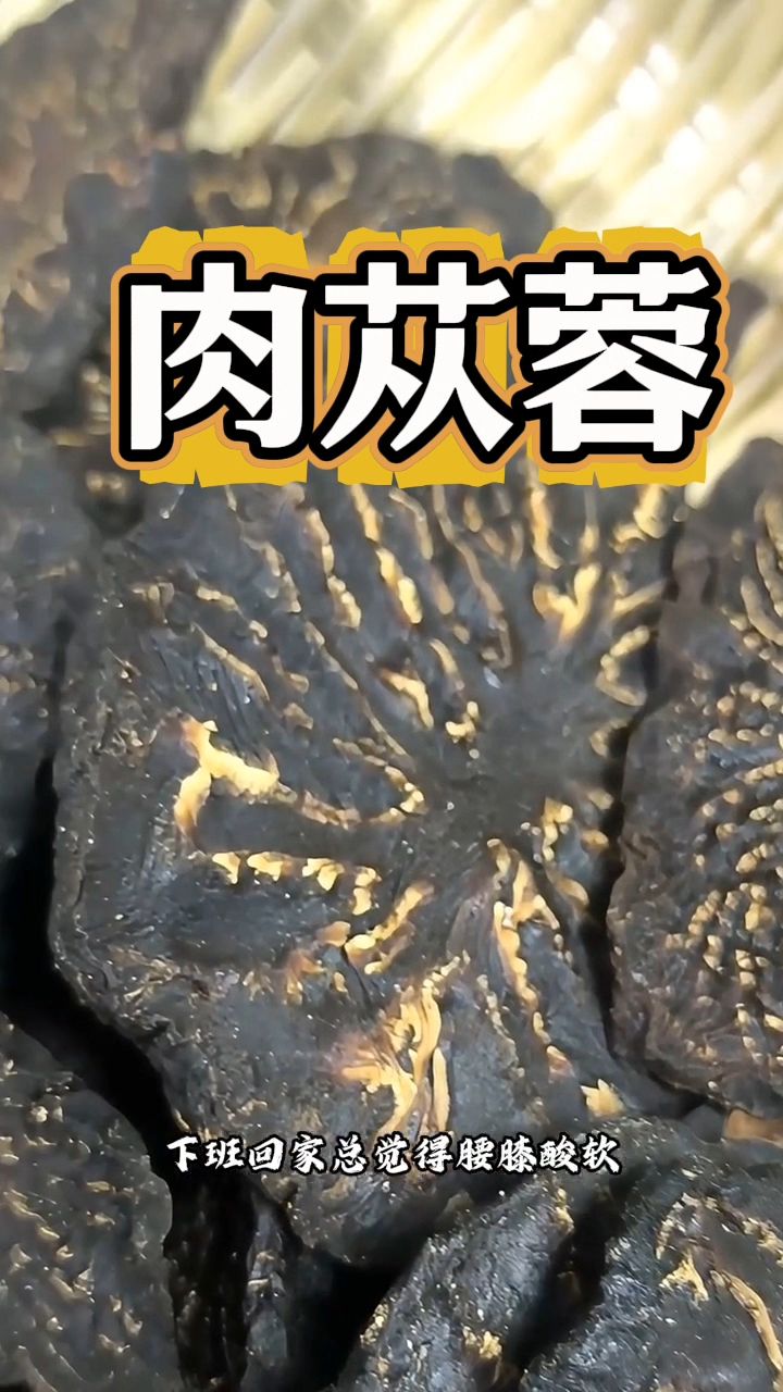 男同胞喝了都说好的肉苁蓉,每天一杯泡水喝!