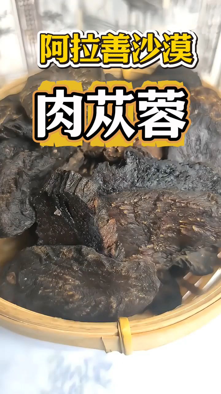 肉苁蓉是阿拉善的沙漠之宝,男同胞泡水喝非常不错!
