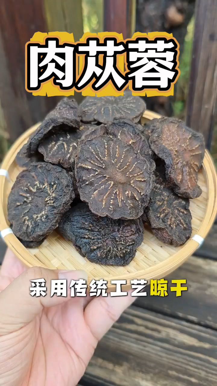 阿拉善大沙漠里的肉苁蓉,男士们泡水喝少不了!