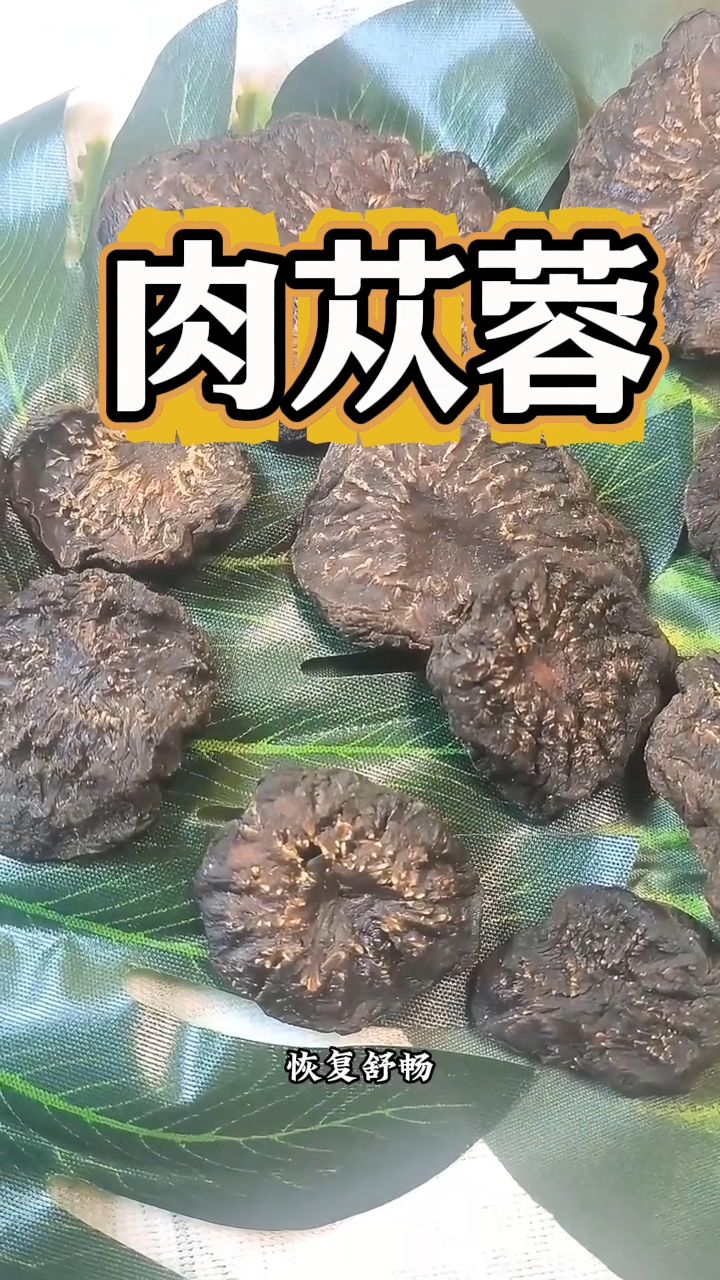 阿拉善的肉苁蓉泡水喝,男士们不要错过了