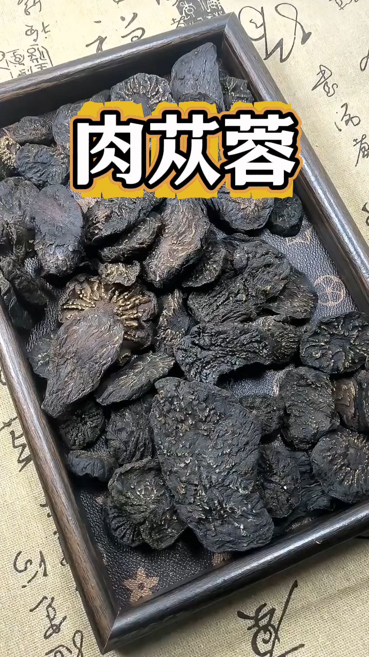 阿拉善肉苁蓉,搭配桑葚一起煮水喝!