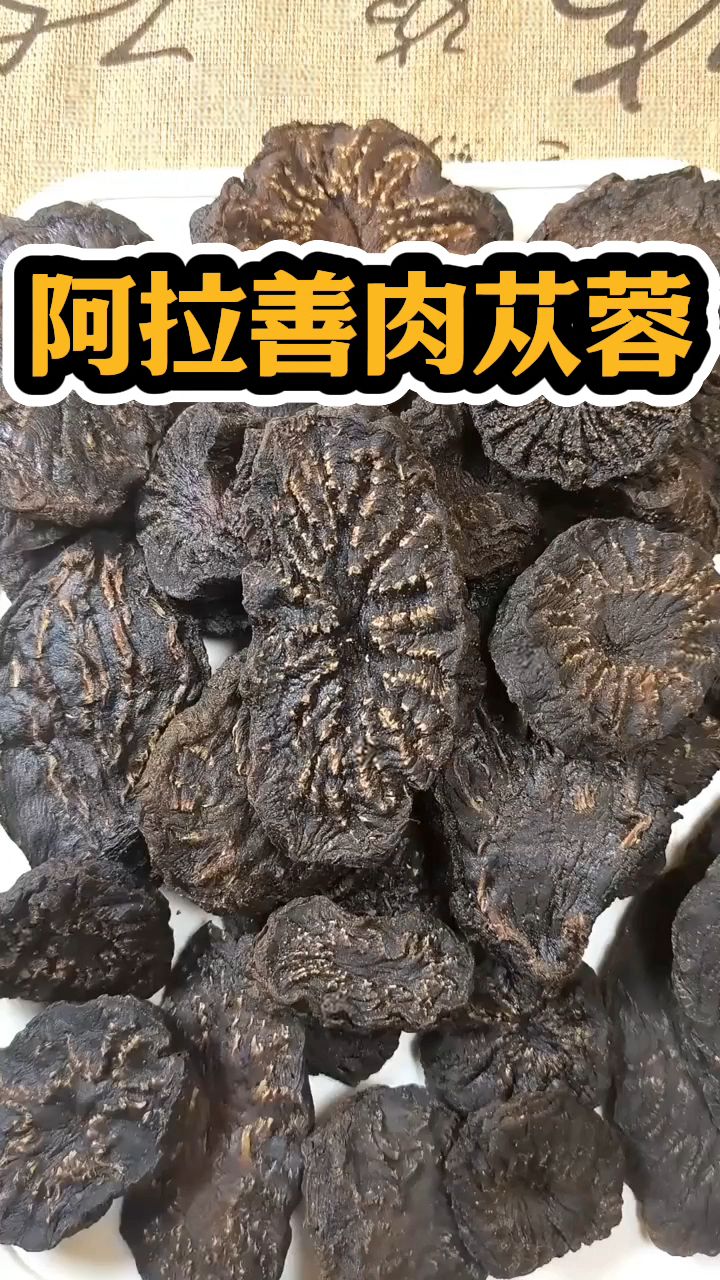 平时就可以用阿拉善的肉苁蓉泡水代茶饮!