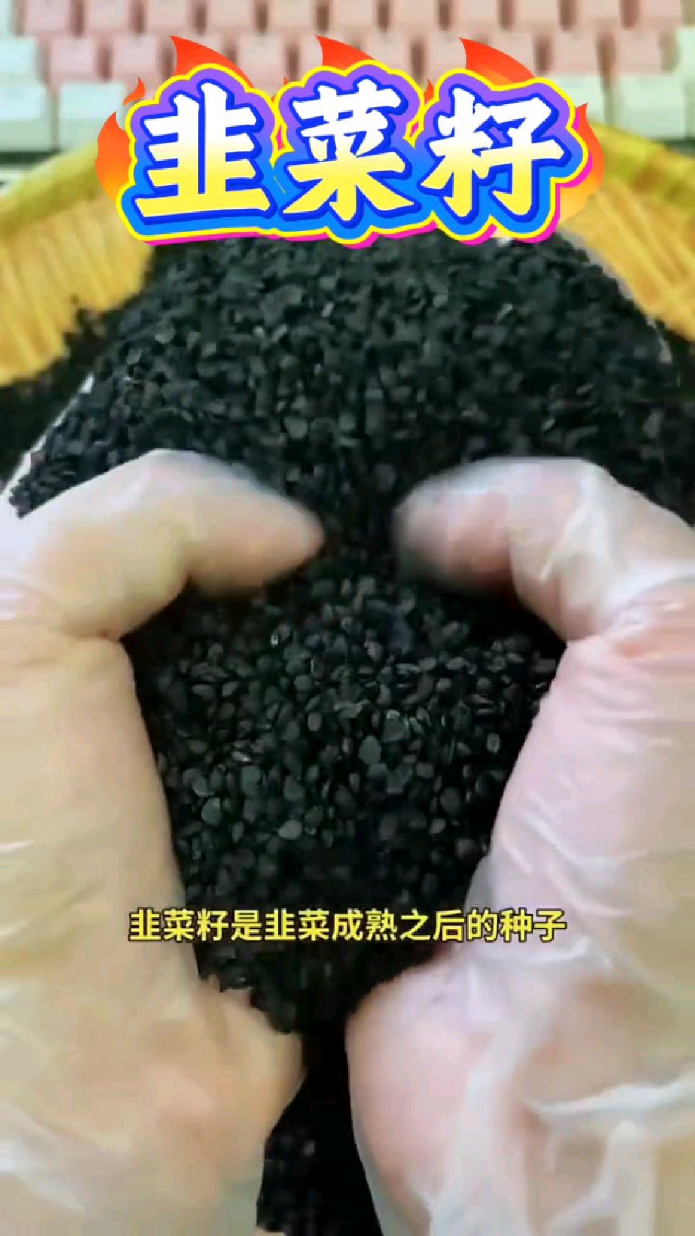 野生炒熟韭菜籽,男士们每天一杯泡水喝