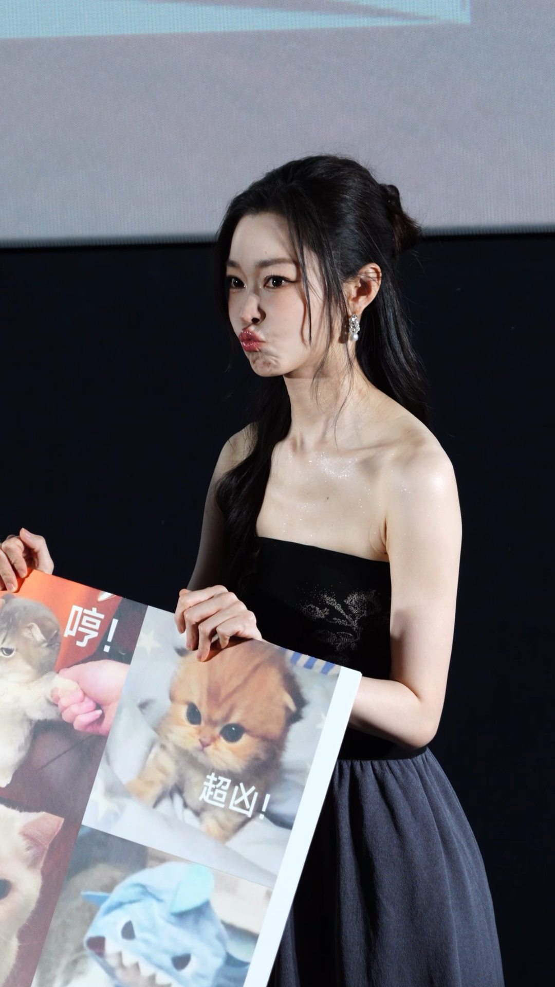 宋轶小猫发凶表情包