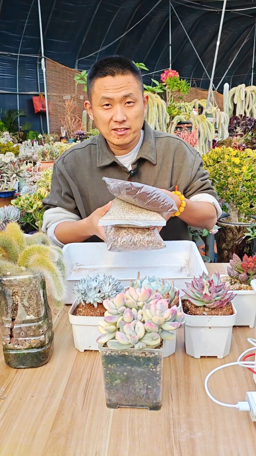 多肉颗粒土怎么配?