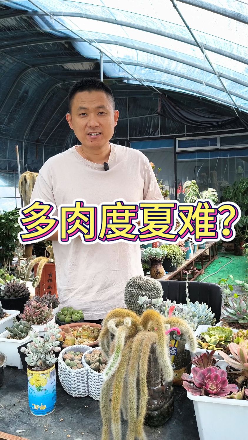 秋天来了，多肉植物还活着多少？为啥挂掉？