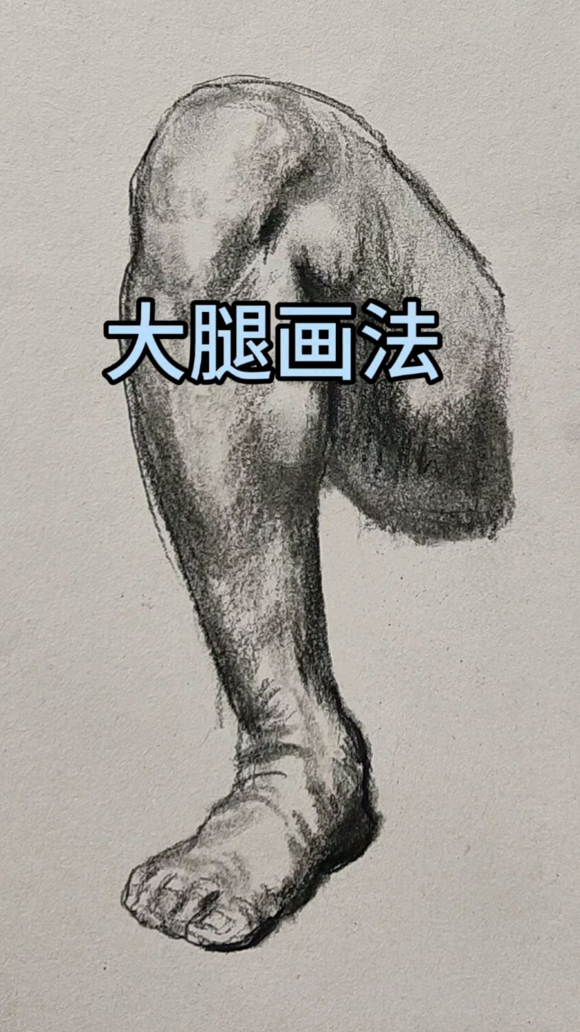 速写大腿绘画步骤,这肌肉太有力量了