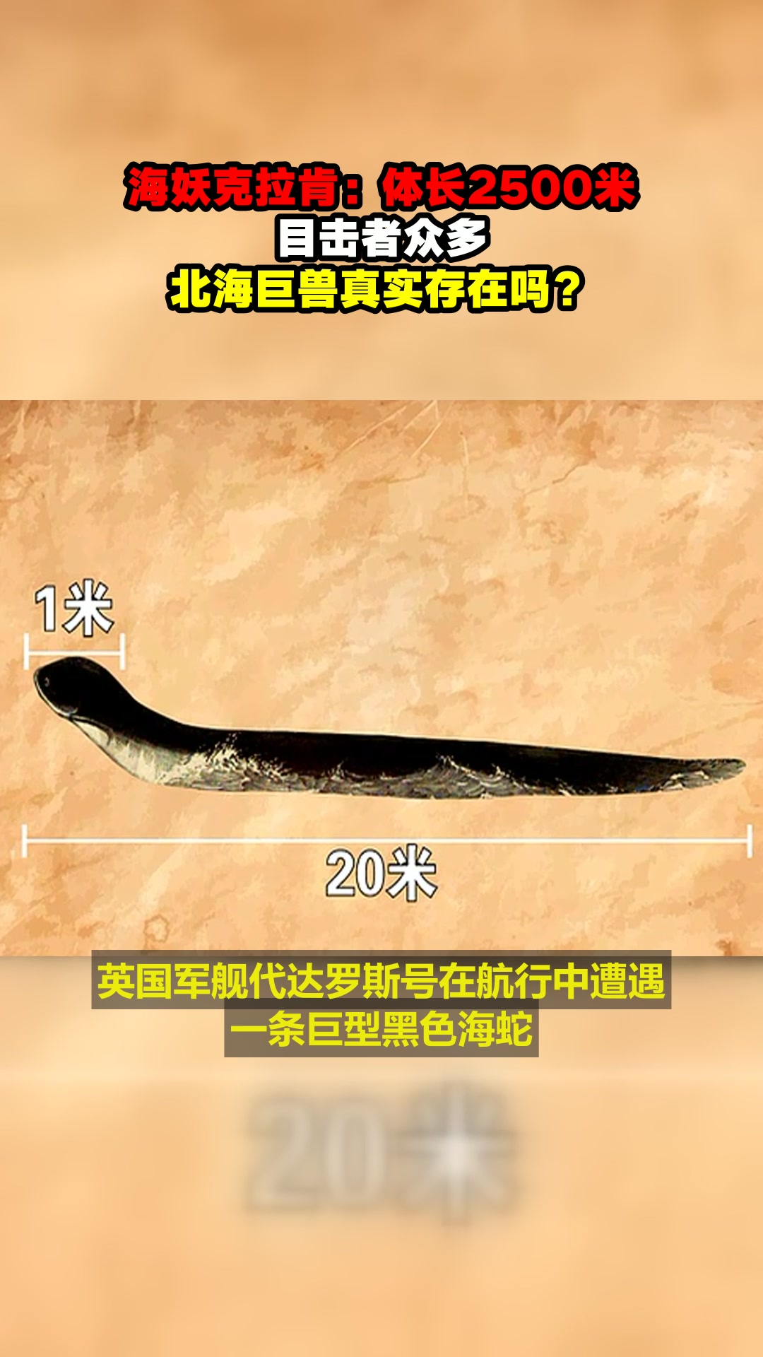 海妖克拉肯:体长2500米,目击者众多,北海巨兽真实存在吗?