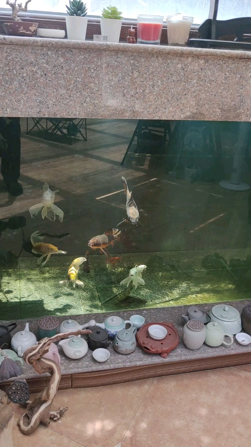 鲤鱼水花 龙凤锦鲤