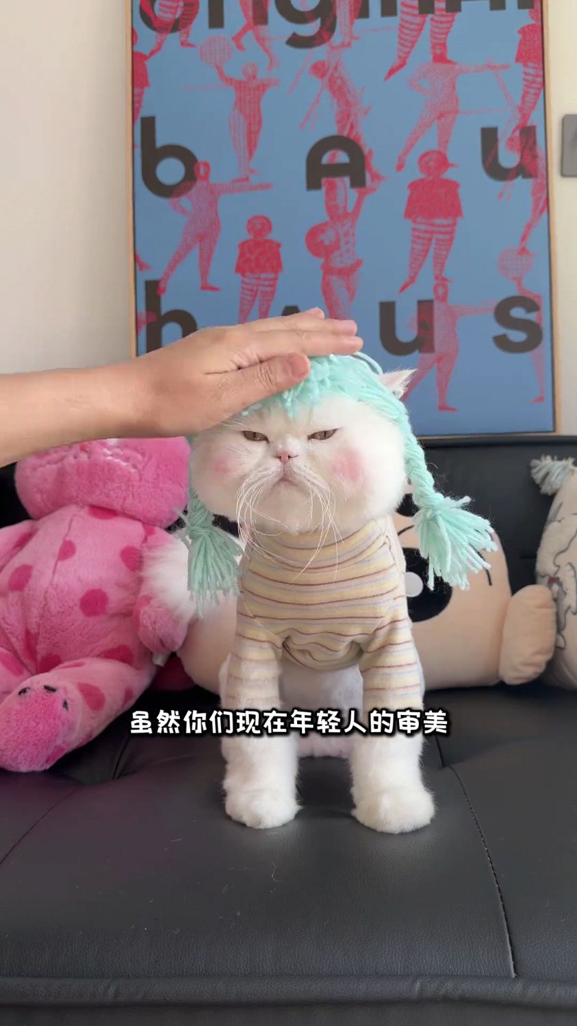 杀咪特头像表情包！