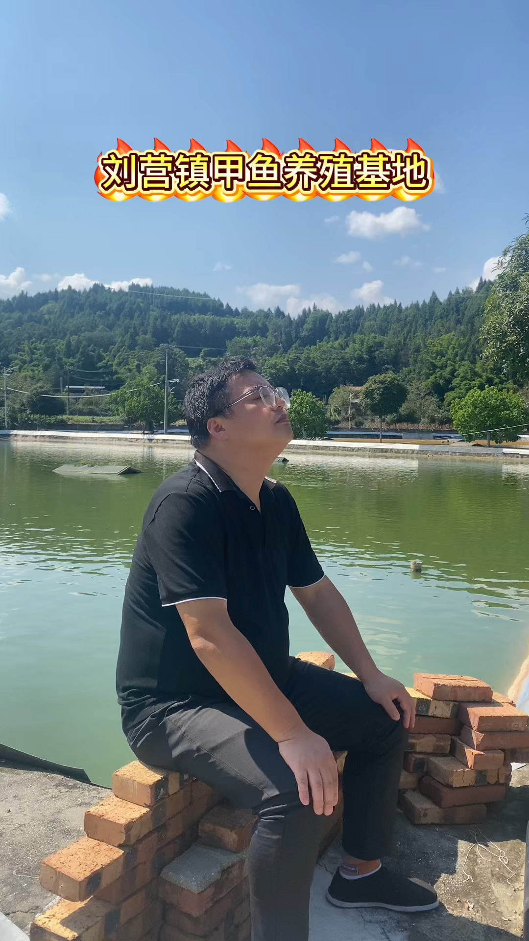 甲鱼,刘营镇转江村甲鱼养殖基地。