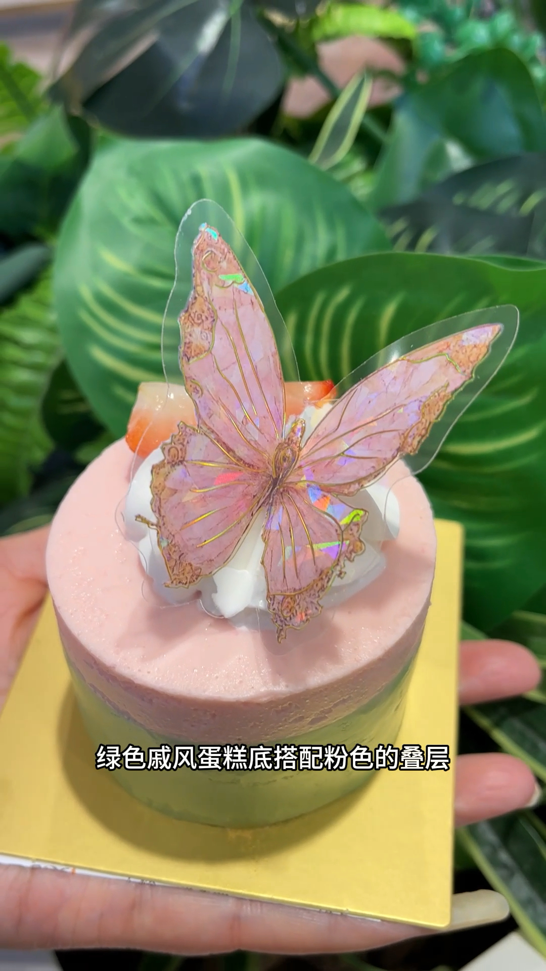 美心西饼新上线的茉莉花茶蛋糕真的是又好看又好吃!