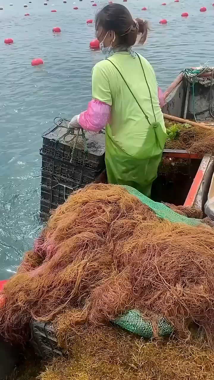 你是否知道鲍鱼是怎么养殖的呢?