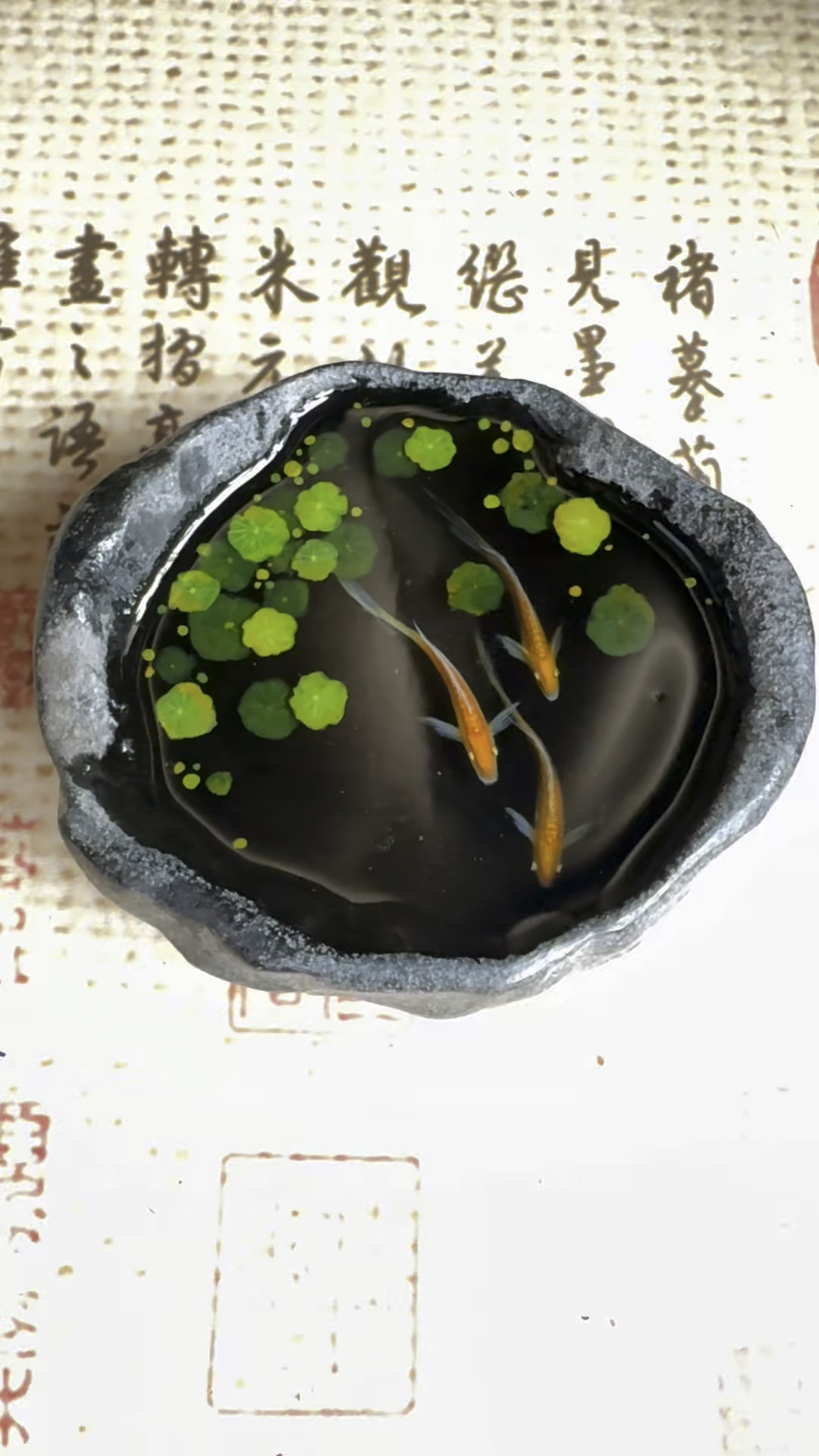 立体树脂画 如鱼得水 鸿运当头年年有余 三生万物