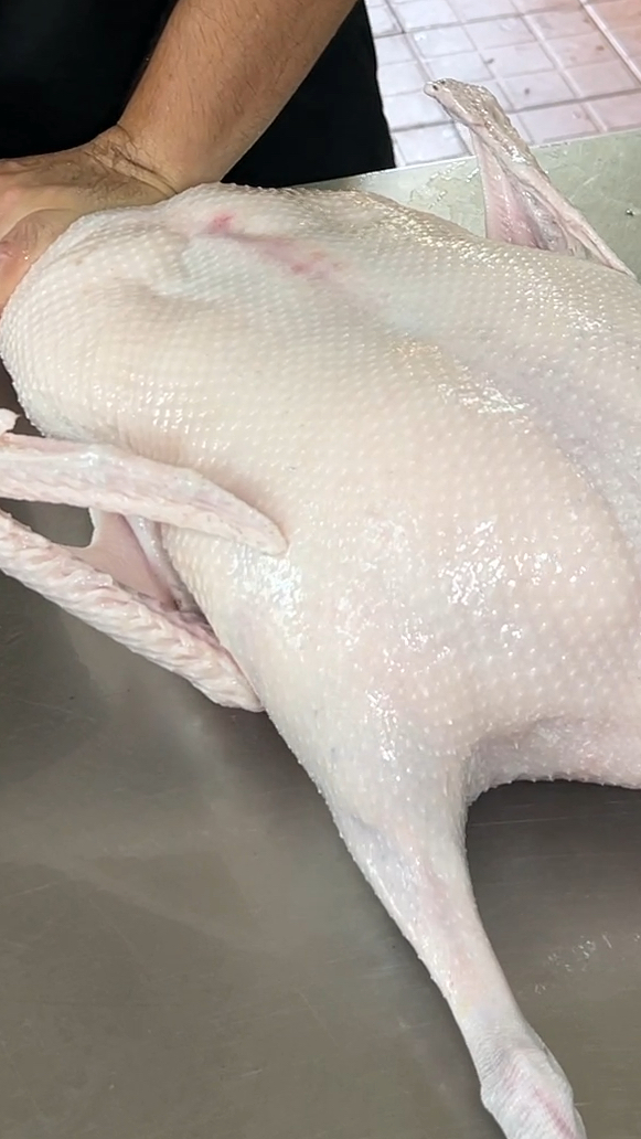 广东烧鹅食材充气