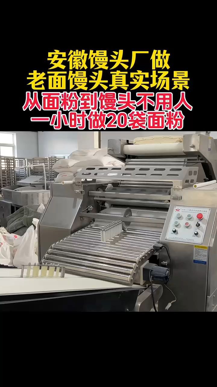 安徽馒头厂做馒头真实场景,从面粉到馒头不用人,1H做1000多个