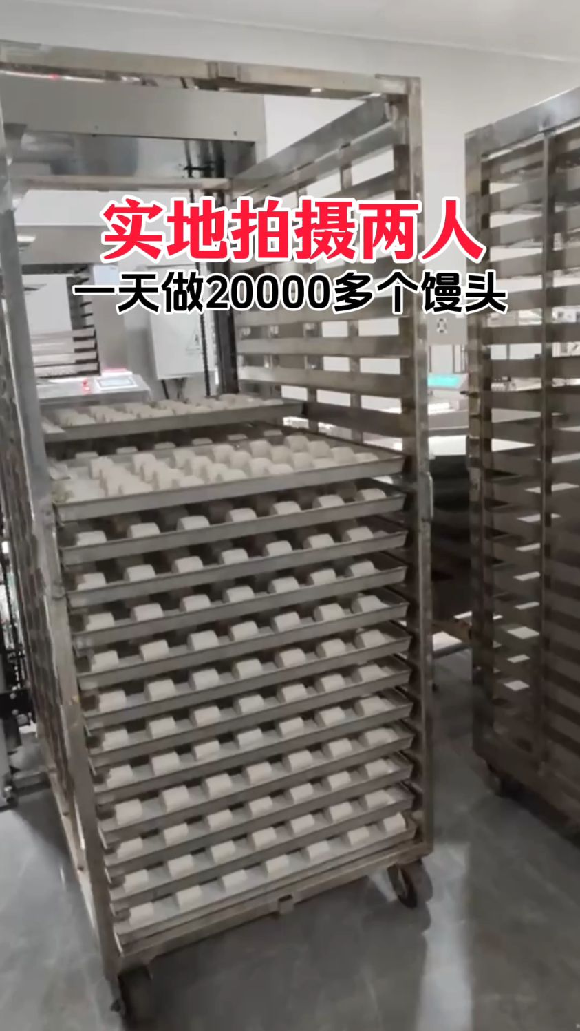实拍山东馒头厂做呛面馒头真实场景