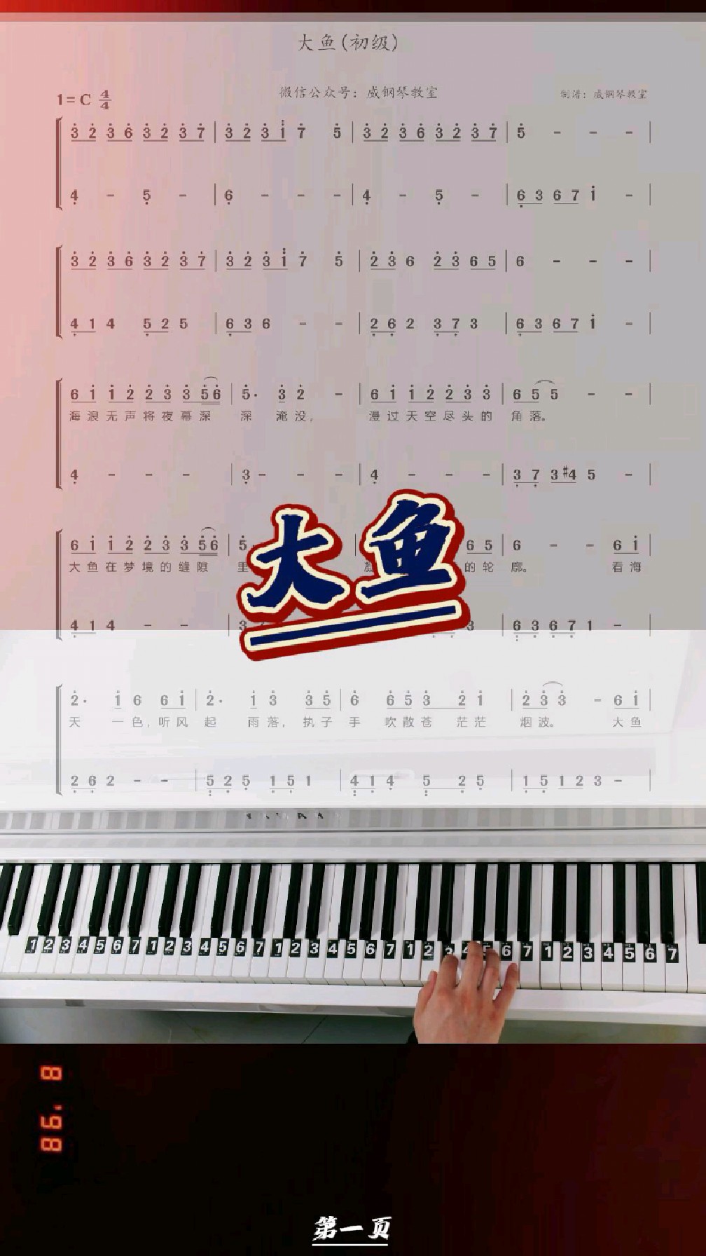 《大鱼》简化改编钢琴简谱教学
