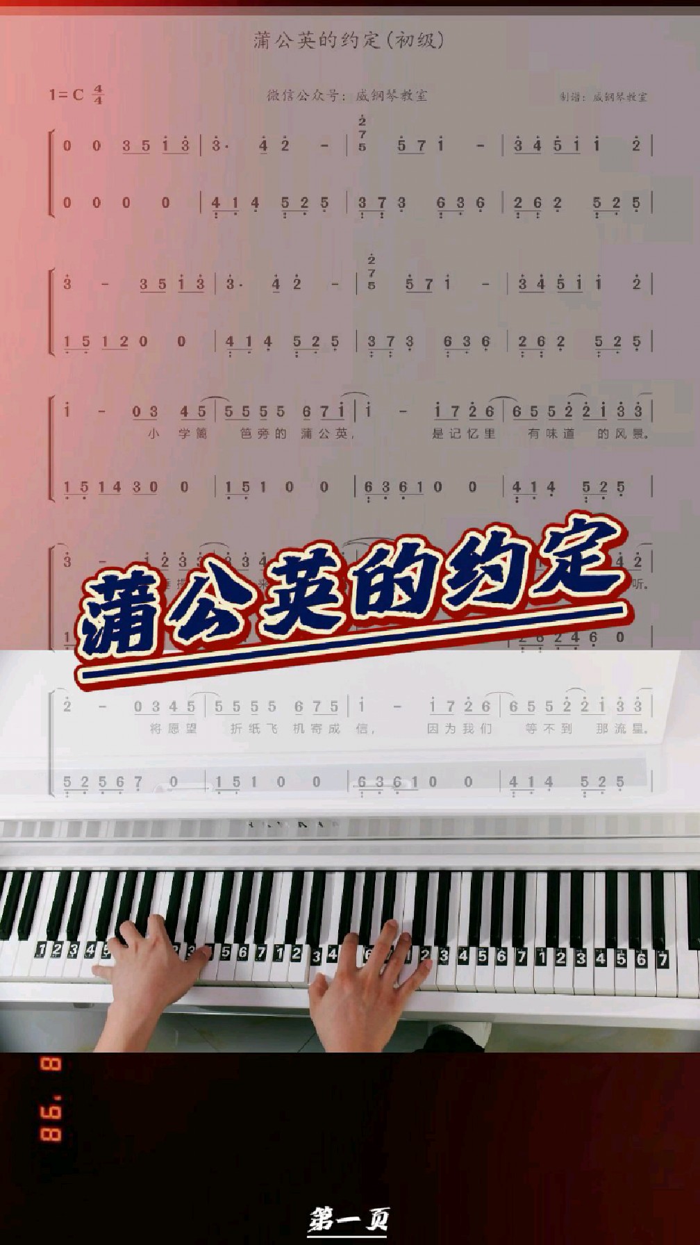 《蒲公英的约定》初级钢琴简谱教学弹奏