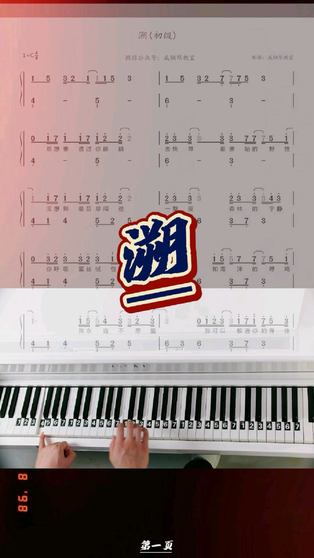 《溯》初级钢琴简谱教学弹奏