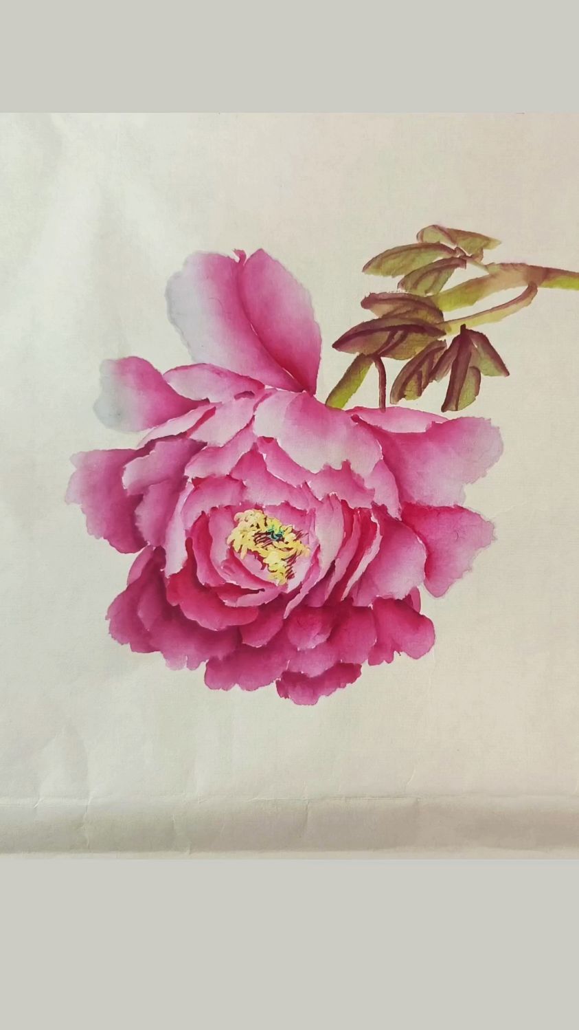 包菜牡丹的调色和画法注意光线下的颜色变化