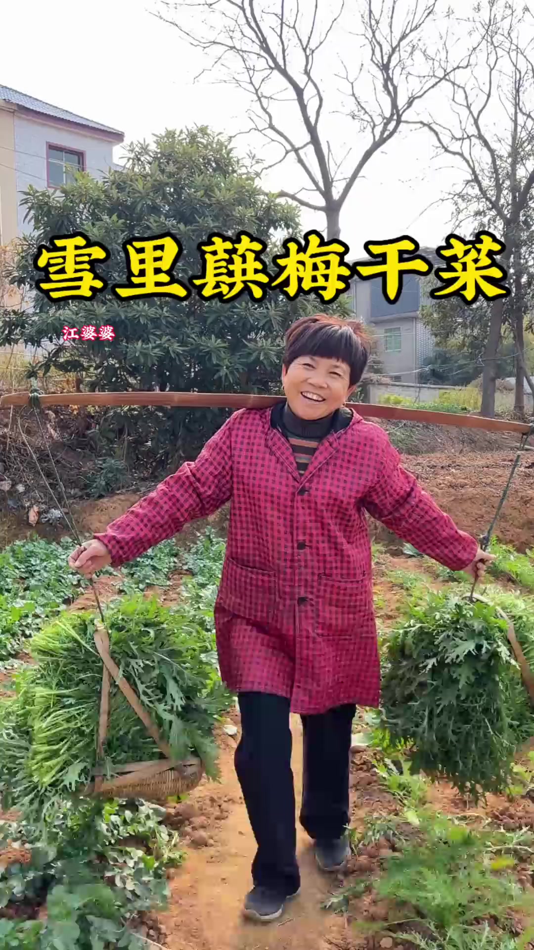 带你们看看雪里蕻梅干菜的传统做法,用来烧肉