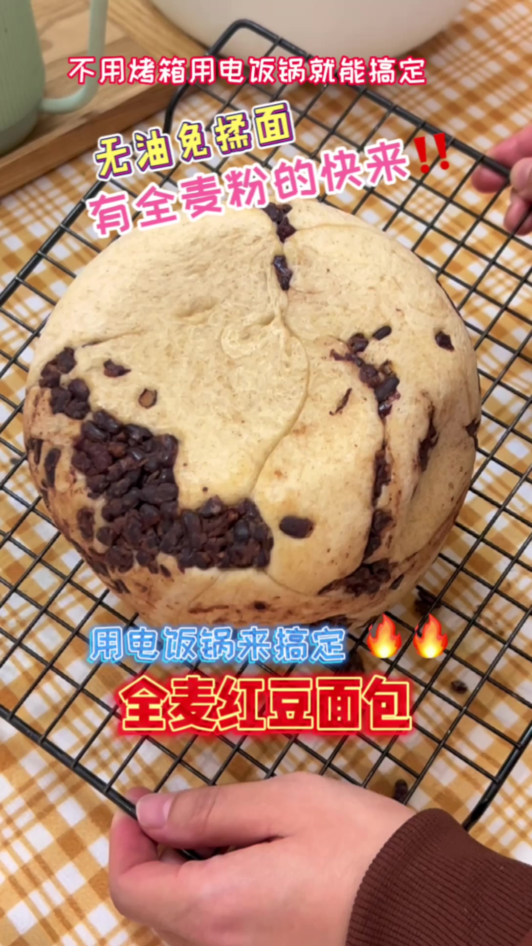 电饭锅红豆面包，有全麦粉的都给我去做