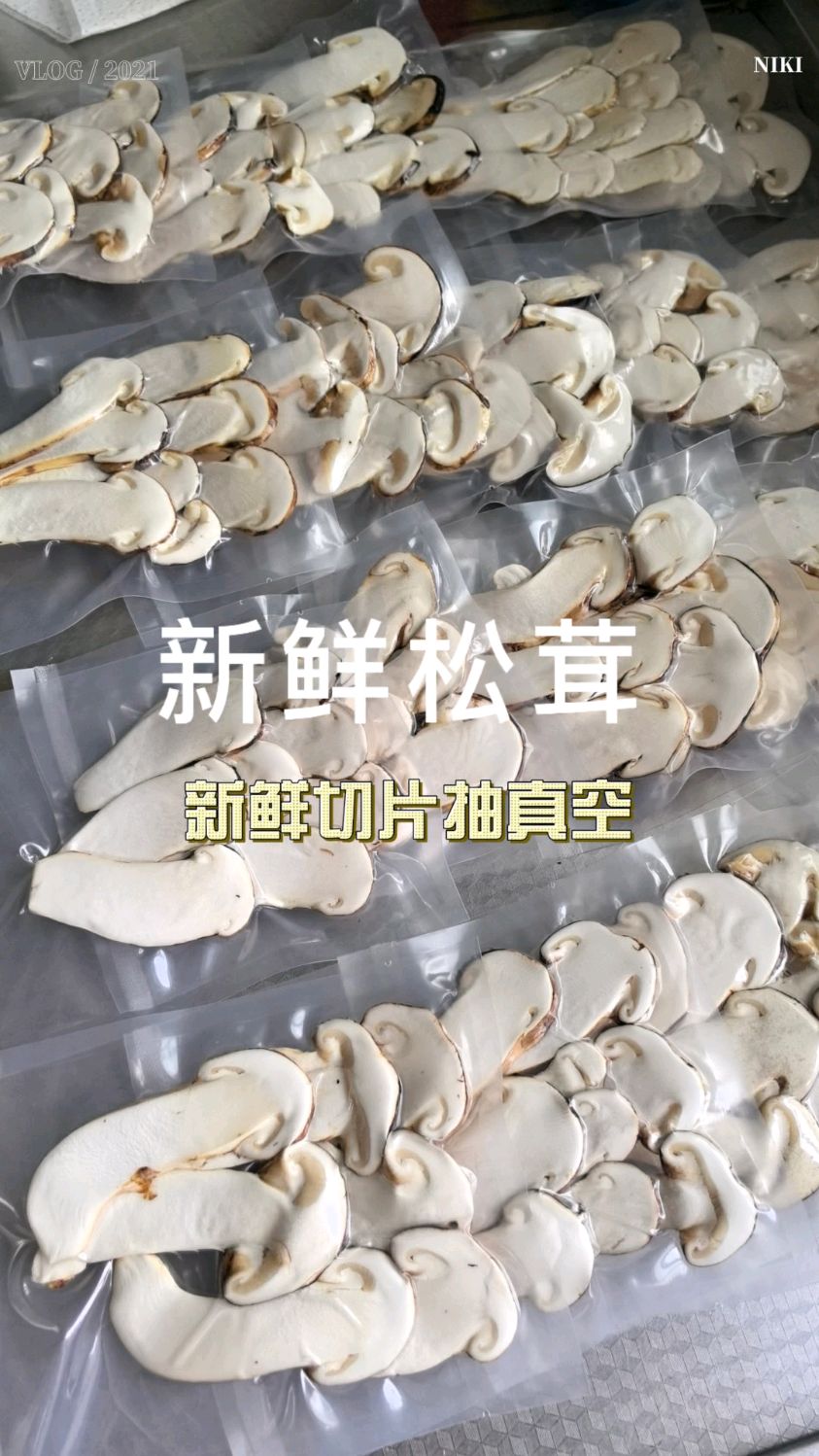 吃不完的新鲜松茸,清洗切片抽真空冷冻是最好的长期储存办法