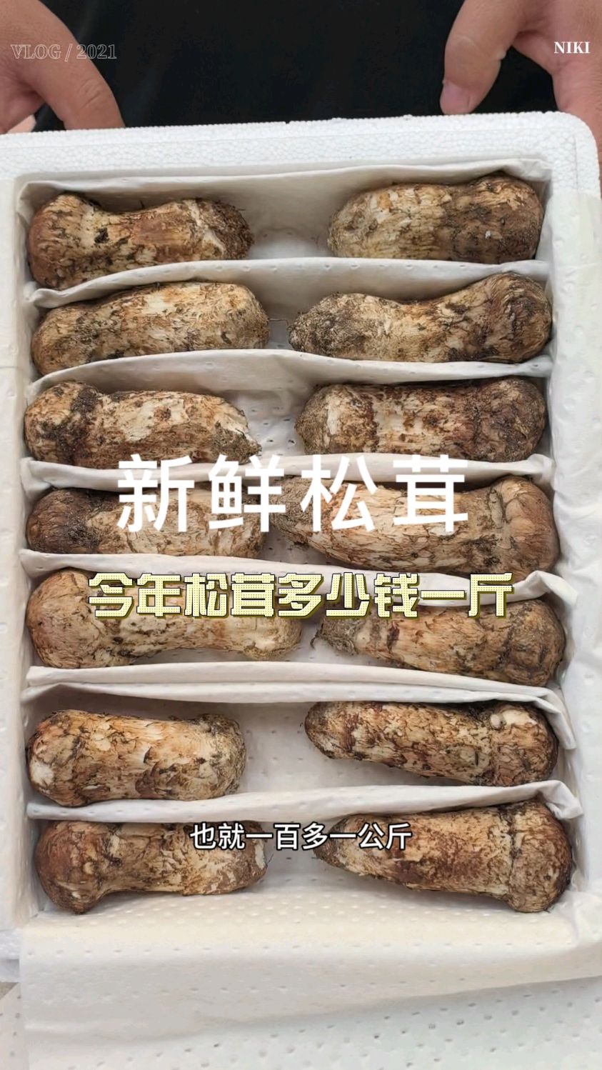 松茸多少钱一斤?跟你们说说今年我经历的价格