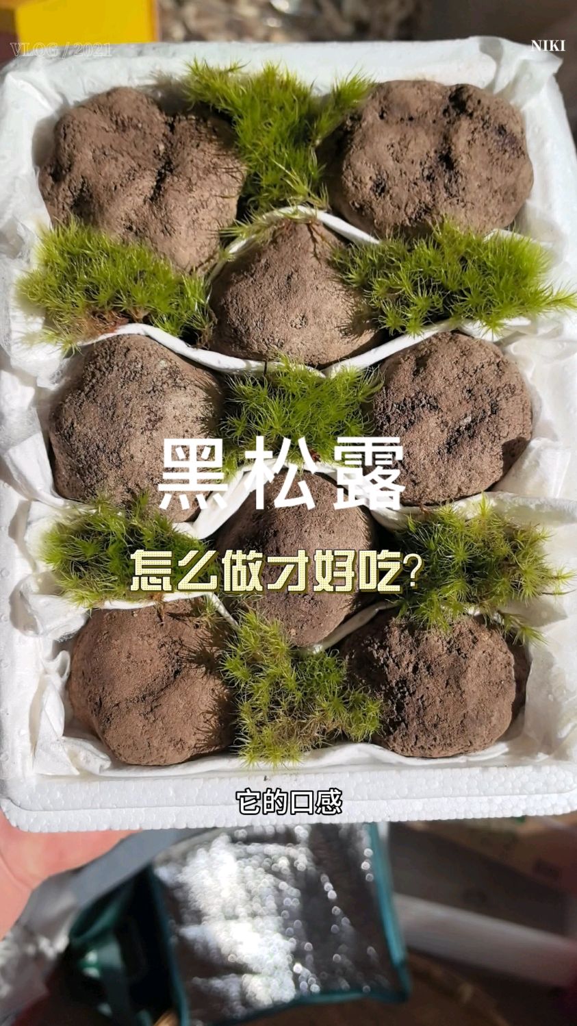黑松露不好吃?可是为什么高档餐厅都在用黑松露