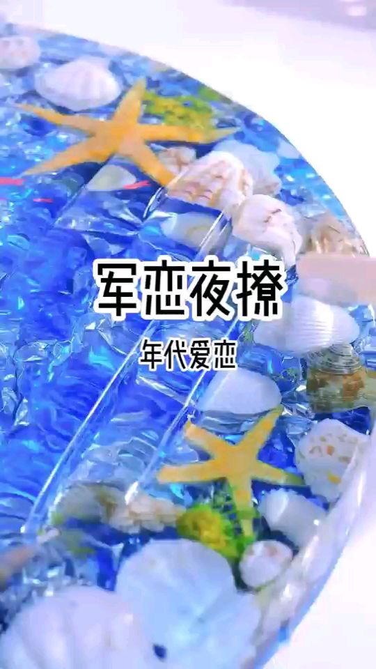 军恋夜撩(年代爱情)