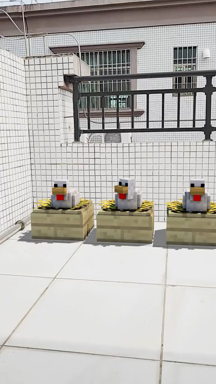 你们吃的鸡蛋就是这生产的,哈哈