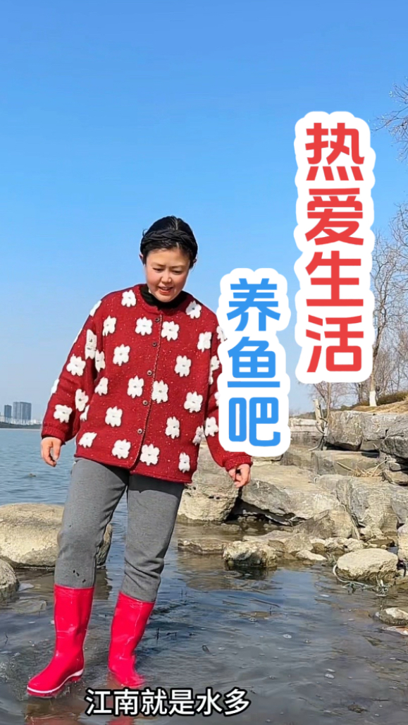 新鱼缸好漂亮,养鱼养花,让生活慢下来