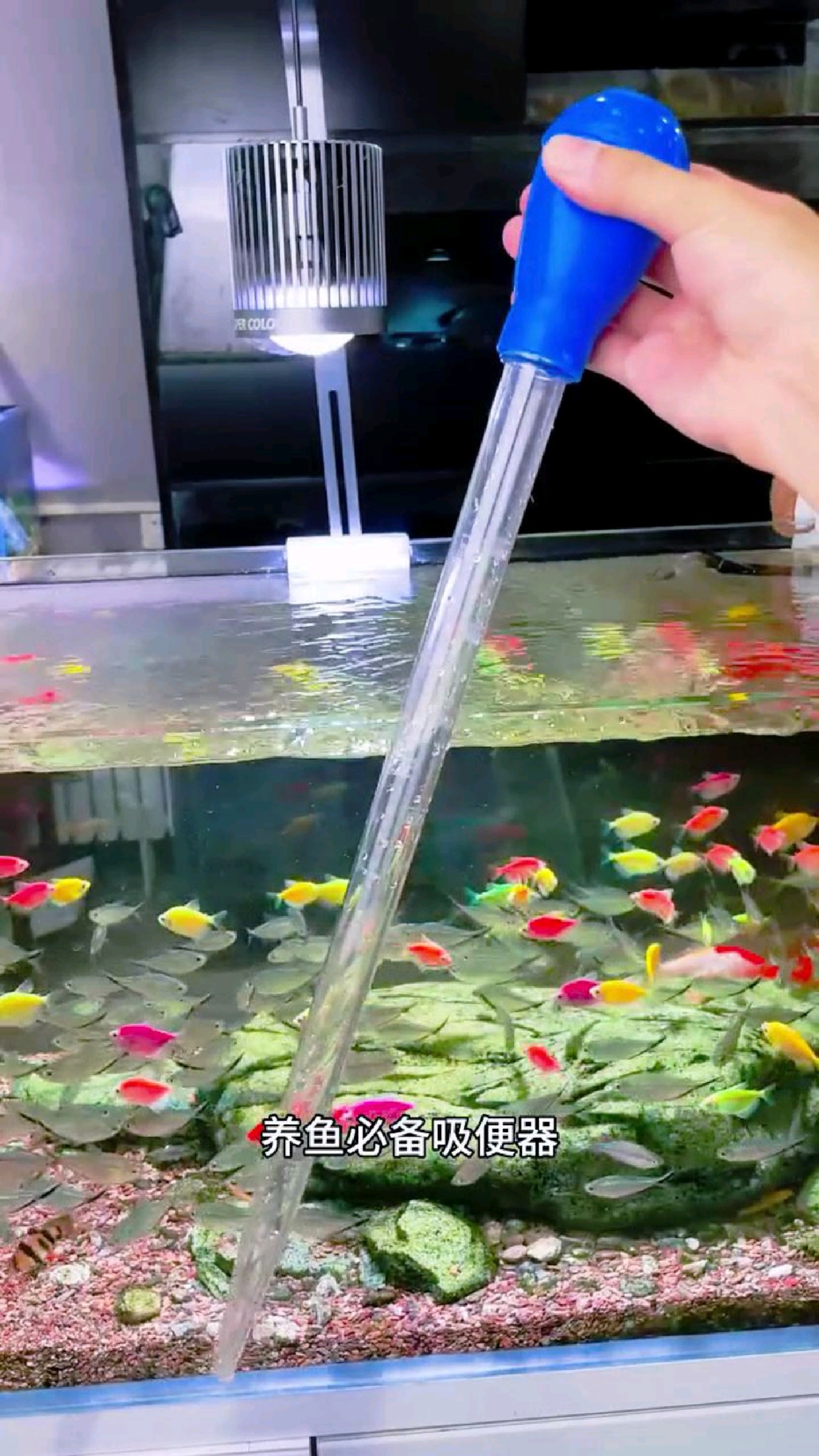 再也不用为了鱼屎发愁了～有了这个吸便器,轻松吸,还可以喂鱼食